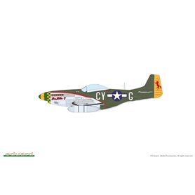 Eduard 1:48 MIGHTY EIGHT: 66TH FIGHTER WING - North American P-51D Mustang - LIMITED EDITION