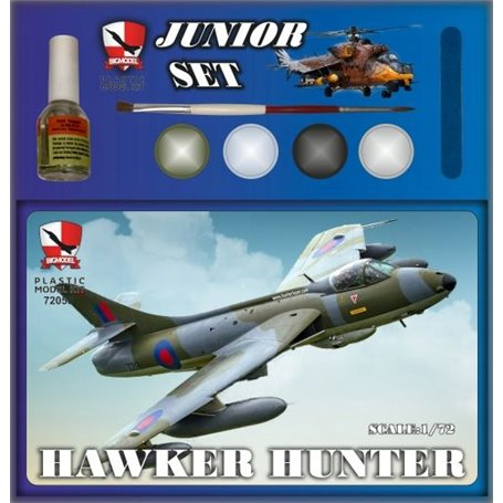 Big Model JS72050 Hawker Hunter RAF