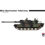 Hobby 2000 35004 K2 'Black Panther' Polish Army