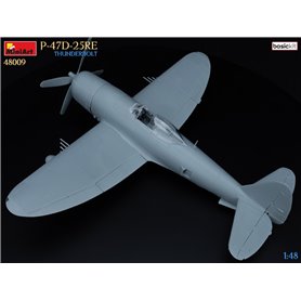 Mini Art 1:48 Republic P-47-25RE Thunderbolt