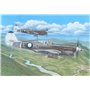 Special Hobby 72484 Kittyhawk Mk.IV 'Over The Mediterranean and the Pacific'