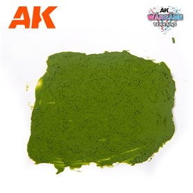 AK Interactive Plague Ground 100 ml.