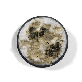 Concrete - Liquid Pigment 35 ml(Box 6 un