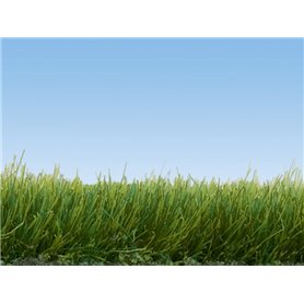 Noch Wild grass 65g