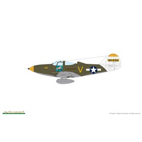 Eduard 1:48 Bell P-39N Airacobra - ProfiPACK edition