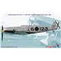 Wingsy Kits D5-09 Messerschmitt Bf 109 E-1 and E-3 “Legion Condor” 1/48