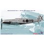 Wingsy Kits D5-09 Messerschmitt Bf 109 E-1 and E-3 “Legion Condor” 1/48