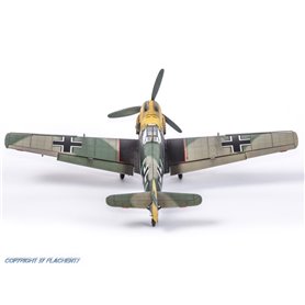 Wingsy Kits D5-10 German WWII Fighter Messerschmitt Bf 109 E-4 1/48