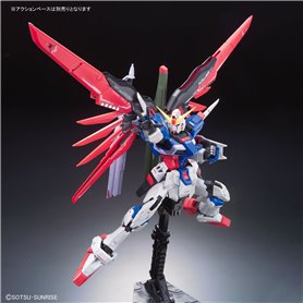 Bandai 61616 RG 1/144 DESTINY GUNDAM BL GUN61616