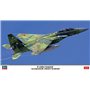 Hasegawa 02460 1/72 F-15DJ Eagle 'Aggressor Green Scheme'