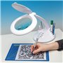 Lightcraft LC8098LED-EU LED Magnifier Table Lamp  with Organiser Base