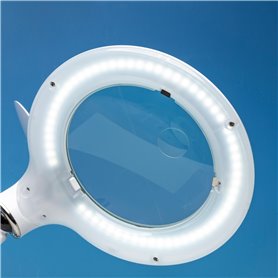 Lightcraft LC8098LED-EU LED Magnifier Table Lamp  with Organiser Base