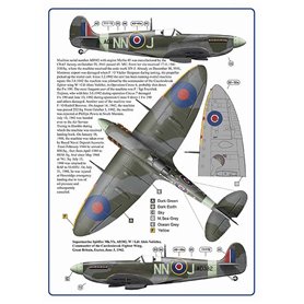 AML 1:32 Alois Vasatko - 1ST COMMANDER OF CZECHOSLOVAK WING RAF - PART III