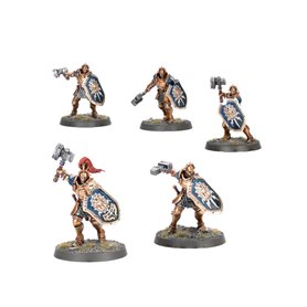 WARHAMMER AGE OF SIGMAR Introductory Set