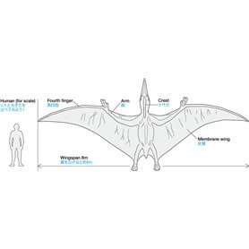 Tamiya 60204 Pteranodon