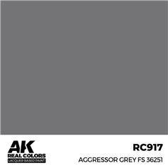 AK REAL COLORS Aggressor Grey FS 36251 17 ml.