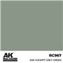 AK REAL COLORS RAF Cockpit Grey-Green 17 ml.