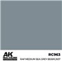 AK REAL COLORS RAF Medium Sea Grey BS381C/637 17 ml.