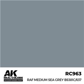 AK REAL COLORS RAF Medium Sea Grey BS381C/637 17 ml.