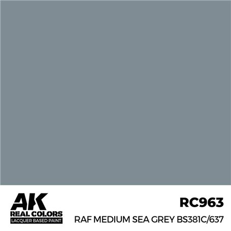 AK REAL COLORS RAF Medium Sea Grey BS381C/637 17 ml.