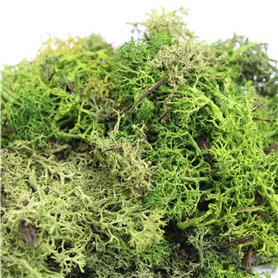 Zarośla gotoweMix Green - 35g