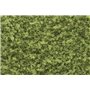 Woodland Dar? Light Green Coarse Turf