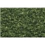 Woodland Dar? Medium Green Coarse Turf