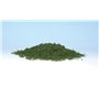 Woodland Dar? Medium Green Coarse Turf