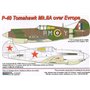 AML C9004 Kalkomania w Skali 1:72 P-40 Tomahawk Mk.IIA over Europe