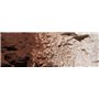 Woodland WC1222 Pigment - Burnt Umber Terrain Pai