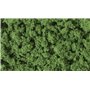 Woodland Listowie Med Green Clump Foliage