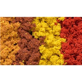 Woodland Listowie Clump Foliage Herbst