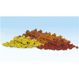 Woodland Listowie Clump Foliage Herbst