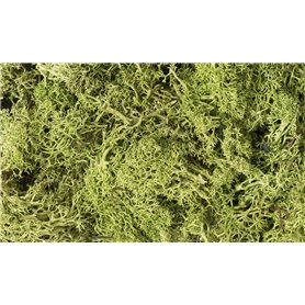 Woodland Zarośla Light Green Lichen