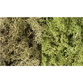 Woodland Zarośla Light Green Mix Lichen