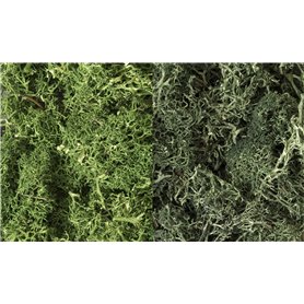 Woodland WL168 Zarośla - Dark Green Mix Lichen (1.