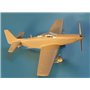 RS MODELS 92148 P-51 H MUSTANG ANG