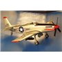 RS MODELS 92148 P-51 H MUSTANG ANG