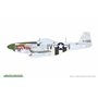 Eduard 1:72 North American P-51D-5 Mustang - ProfiPACK edition 