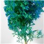 BLUE-GREEN FANTASY BUSHES