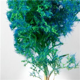 BLUE-GREEN FANTASY BUSHES