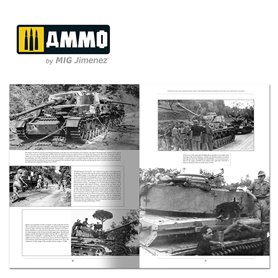 ITALIENFELZUG. VOL 3 (English)