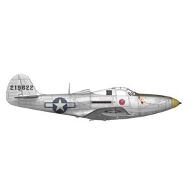 Arma Hobby 48013 P-39 Airacobra Recon