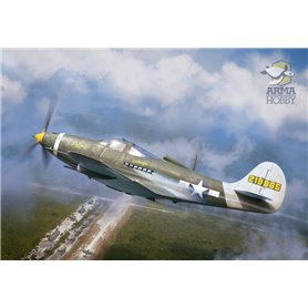 Arma Hobby 48013 P-39 Airacobra Recon
