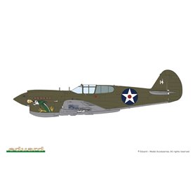 Eduard 1:48 Curtiss P-40E Warhawk - ROYAL CLASS - DUAL COMBO