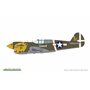 Eduard R0023 P-40E Warhawk Dual Combo Royal Class 1/48