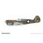 Eduard R0023 P-40E Warhawk Dual Combo Royal Class 1/48