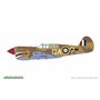 Eduard R0023 P-40E Warhawk Dual Combo Royal Class 1/48