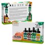 Acrylic Inks Set - Transparent Nature (x4)Acrylic Inks Set - Transparent Nature (x4)