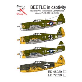 Exotic Decals 72029 Beetle in Captivity Republic P-47 Thundebolt in German Hands